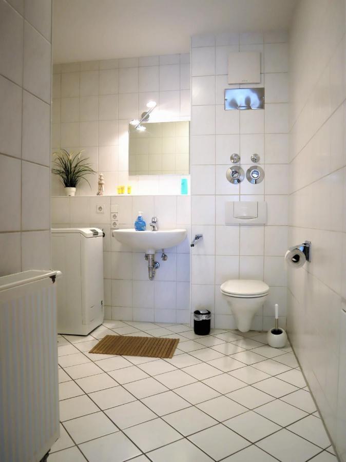 Exklusive Wohnung Mit Dachterrasse In Schleussig 莱比锡 外观 照片